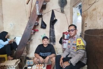IMG 20251208 WA0224