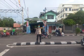 IMG 20251208 WA0253