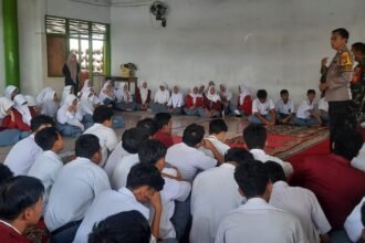IMG 20251209 WA0331