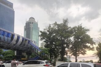 IMG 20251210 WA0006