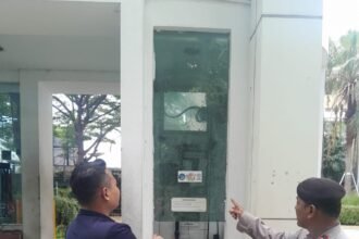 IMG 20251210 WA0333