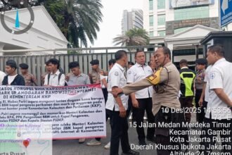 IMG 20251211 WA0113