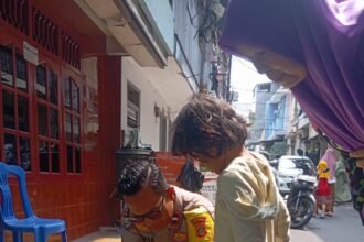 IMG 20251211 WA0205