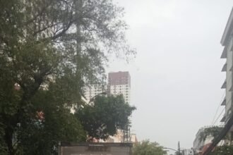 IMG 20251211 WA0274