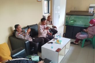 IMG 20251212 WA0119