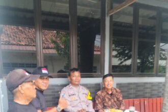 IMG 20251212 WA0121