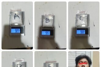 IMG 20251212 WA0178