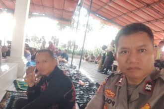 IMG 20251212 WA0227