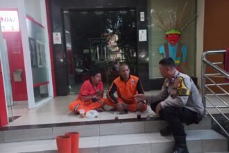 IMG 20251213 WA0255
