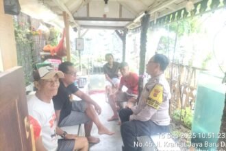 IMG 20251215 WA0302