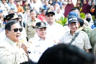 IMG 20251218 WA0263