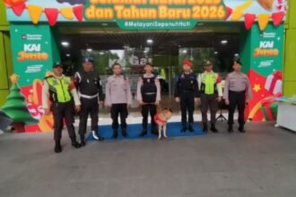 IMG 20251219 WA0101