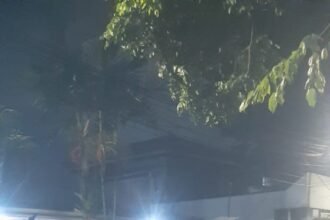 IMG 20251219 WA0112