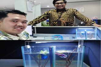 IMG 20251222 WA0028