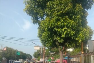 IMG 20251223 WA0054