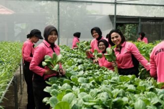 IMG 20251224 WA0304