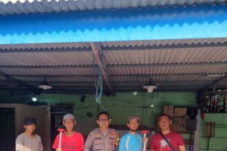 IMG 20251225 WA0062