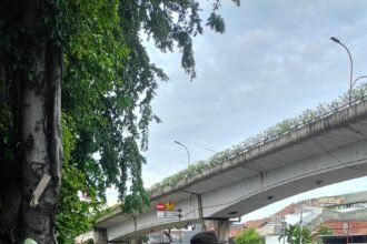 IMG 20251229 WA0163
