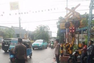 IMG 20260102 WA0251