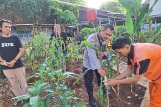 IMG 20260105 WA0295
