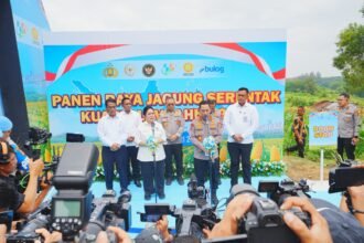 IMG 20260108 WA0226