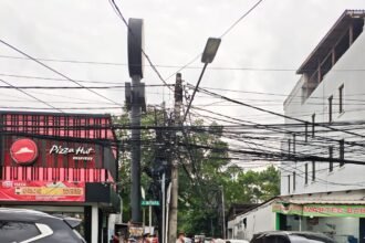 IMG 20260108 WA0295