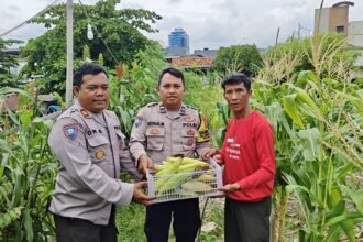IMG 20260108 WA0347