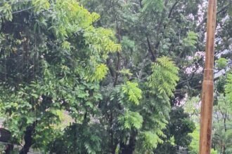 IMG 20260112 WA0165