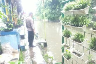 IMG 20260112 WA0296