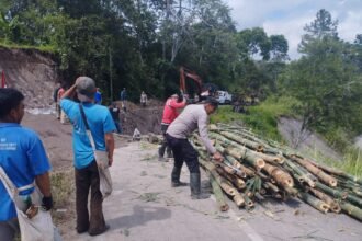 IMG 20260116 WA0130