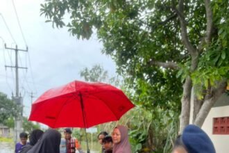 IMG 20260119 WA0217