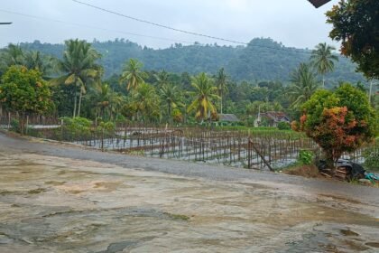 IMG 20260120 WA0049 2