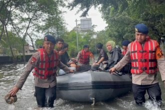 IMG 20260123 WA0217