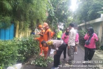IMG 20260125 WA0114 1