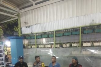 IMG 20260128 WA0120