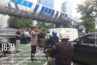 IMG 20260128 WA0239