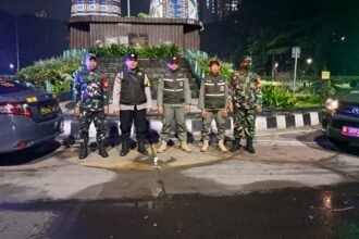 IMG 20260130 WA0137