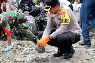 IMG 20260208 WA0132