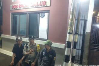 IMG 20260208 WA0258