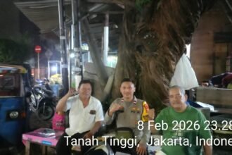 IMG 20260209 WA0225