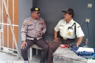 IMG 20260210 WA0156