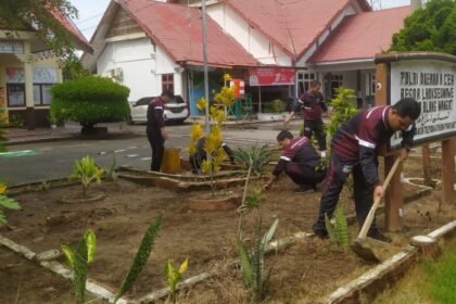 IMG 20260212 WA0006 1