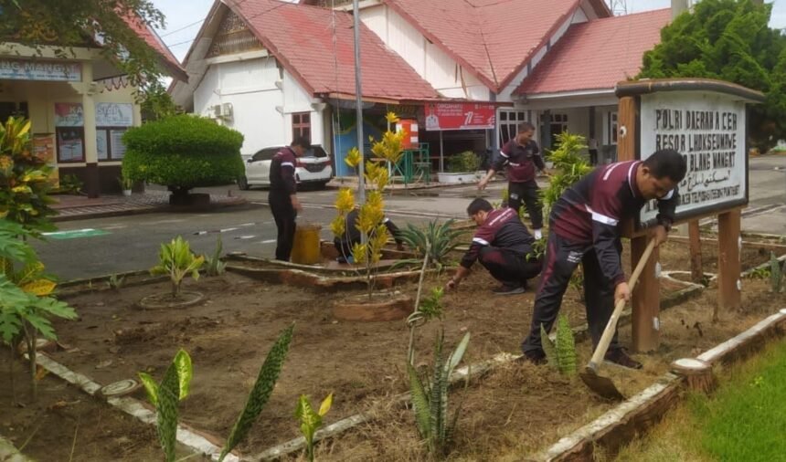 IMG 20260212 WA0006 1