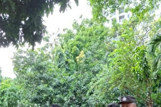 IMG 20260302 WA0165