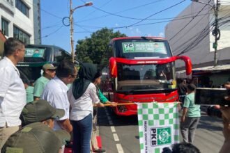 IMG 20260315 WA0264