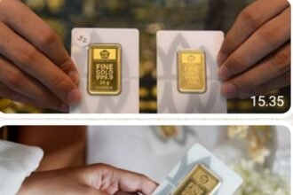 IMG 20260324 WA0032 1