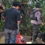 Screenshot 20260330 1852352