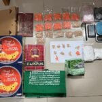 IMG 20260401 WA0105 1