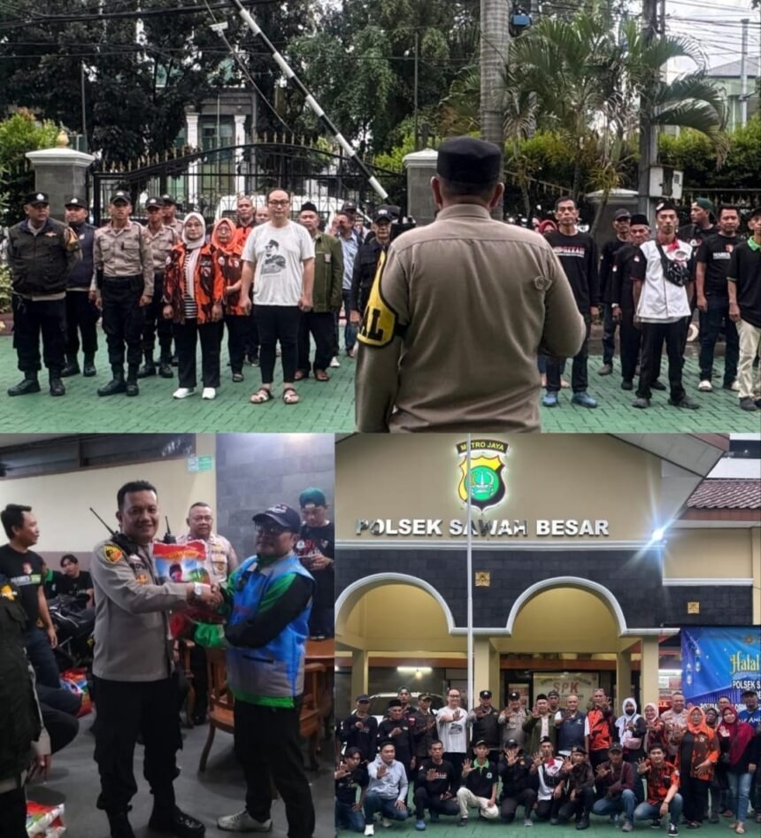 IMG 20260501 WA0253