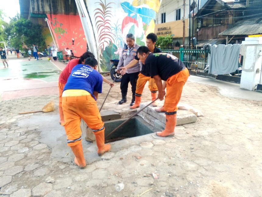 IMG 20260501 WA0255
